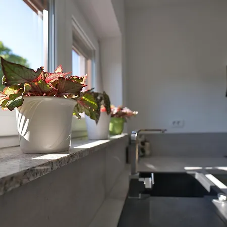 Apartment Hisa Idej Sezana