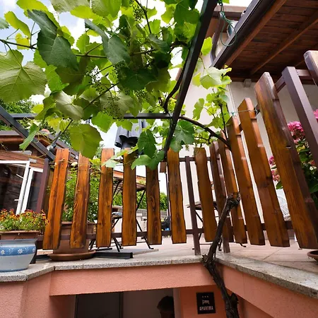 Hisa Idej Apartment *