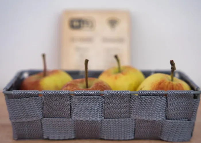 Appartement Hisa Idej Sežana