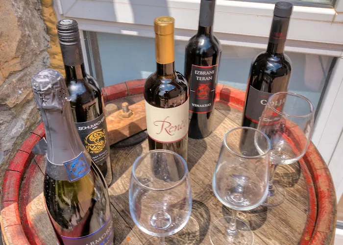 Апартаменты Hisa Idej